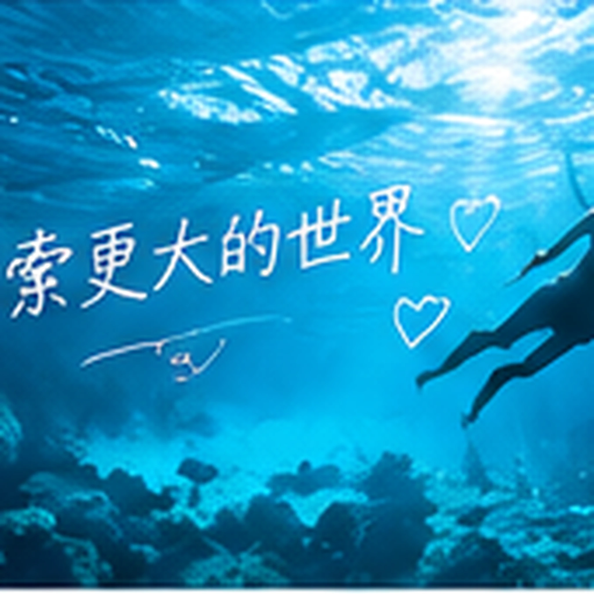 发现